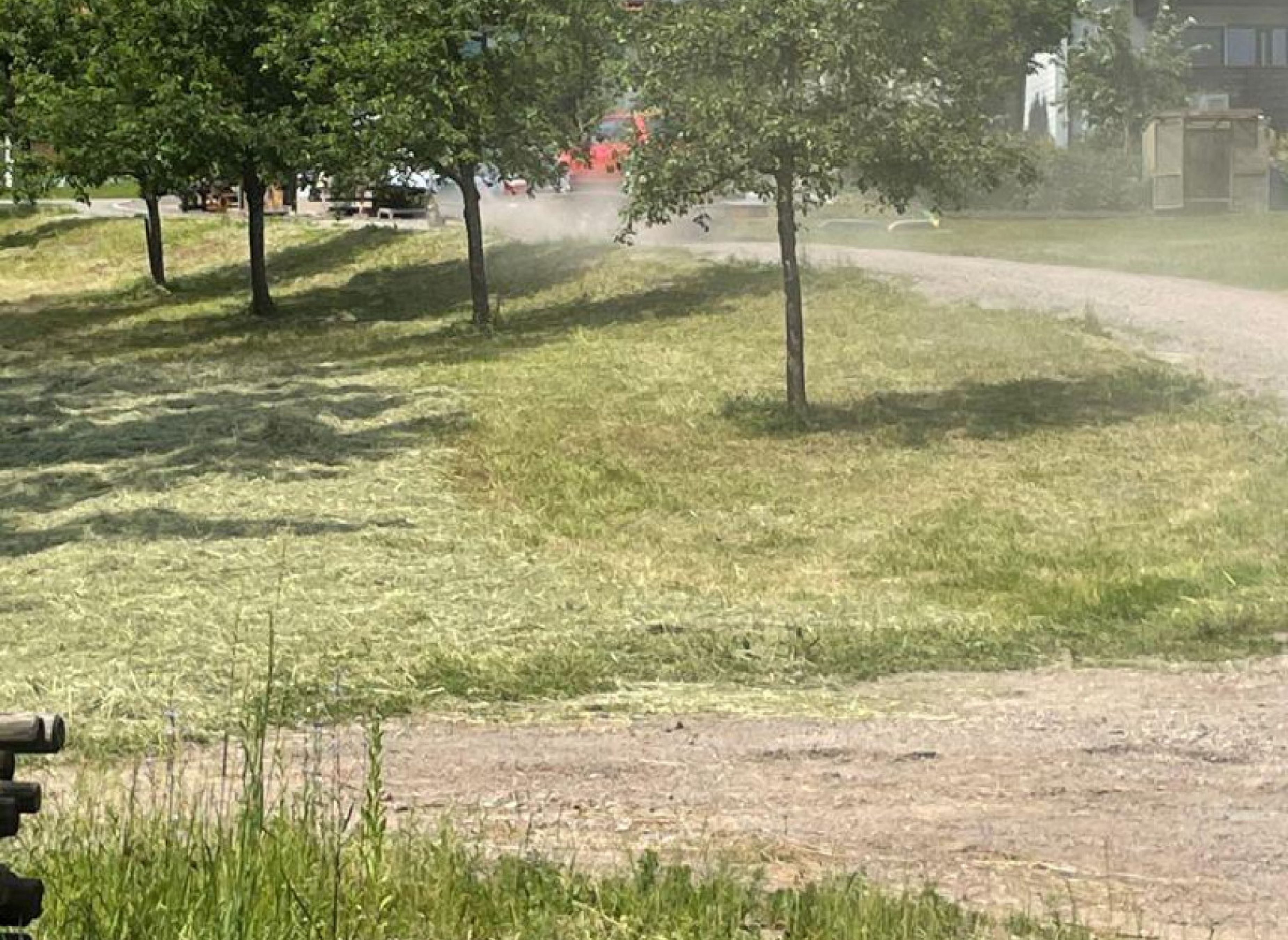 Camping am Wald neben einem Stall — Camperplaats in Albbruck