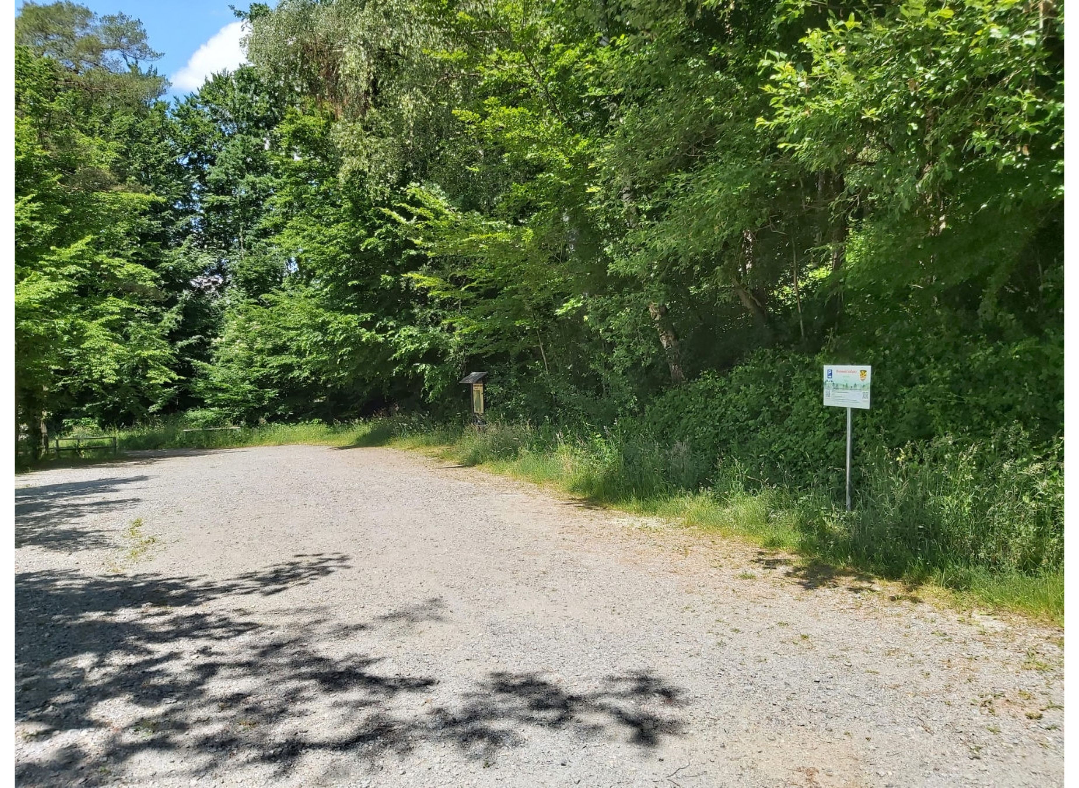 Stellplatz im Odenwald-Dorf Grasellenbach OT Wahlen direkt am Waldrand — Місце для кемперів in Grasellenbach