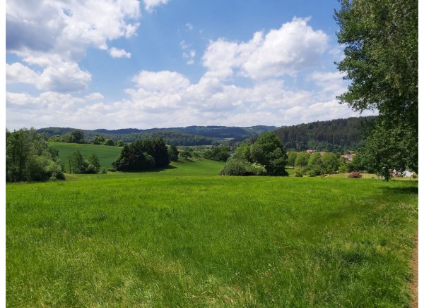 Stellplatz im Odenwald-Dorf Grasellenbach OT Wahlen direkt am Waldrand — Photo 3