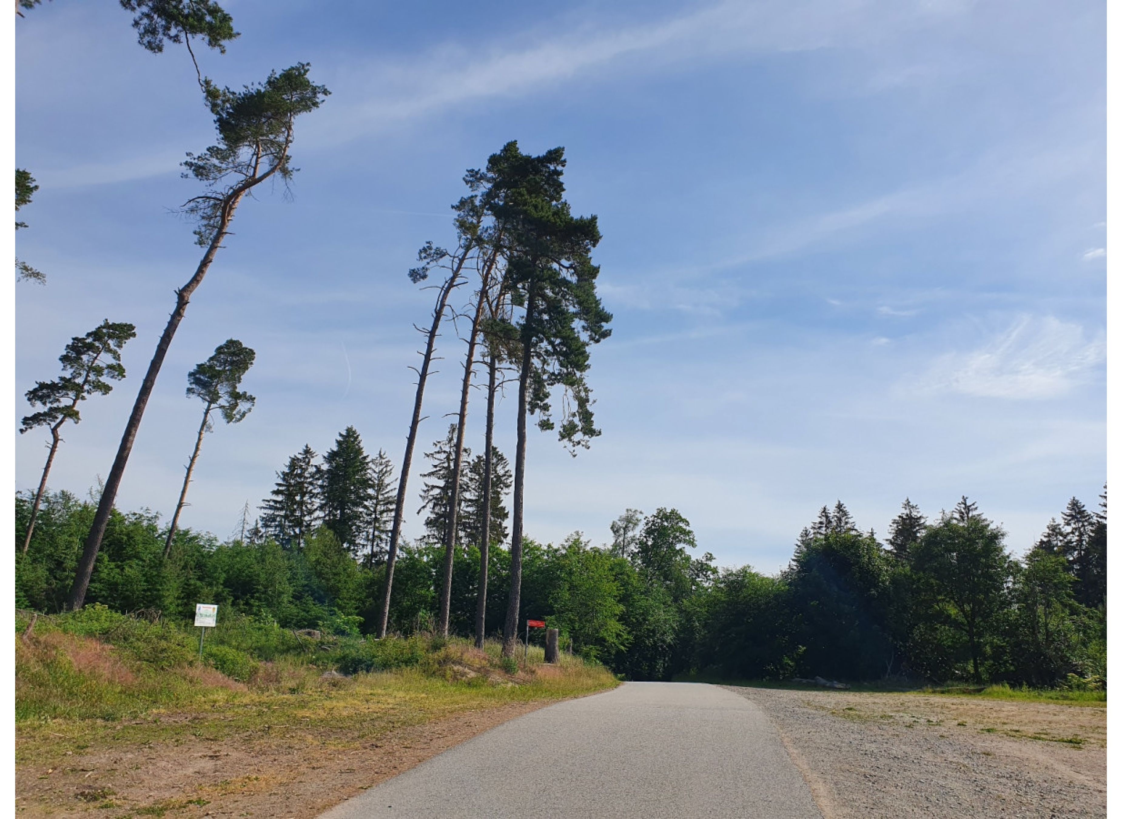 Stellplatz im Odenwald-Dorf Hammelbach direkt am Waldesrand nur 1 Nacht buchbar — Area Autocaravanas in Grasellenbach