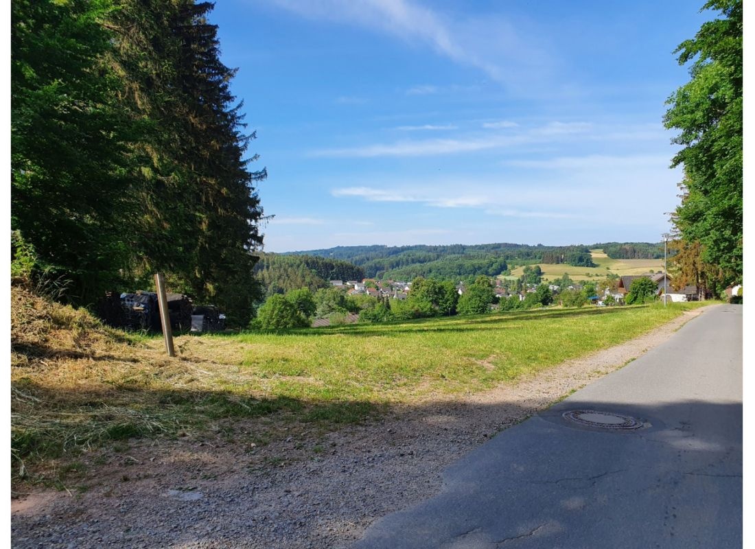 Stellplatz im Odenwald-Dorf Hammelbach direkt am Waldesrand nur 1 Nacht buchbar — Місце для кемперів in Grasellenbach