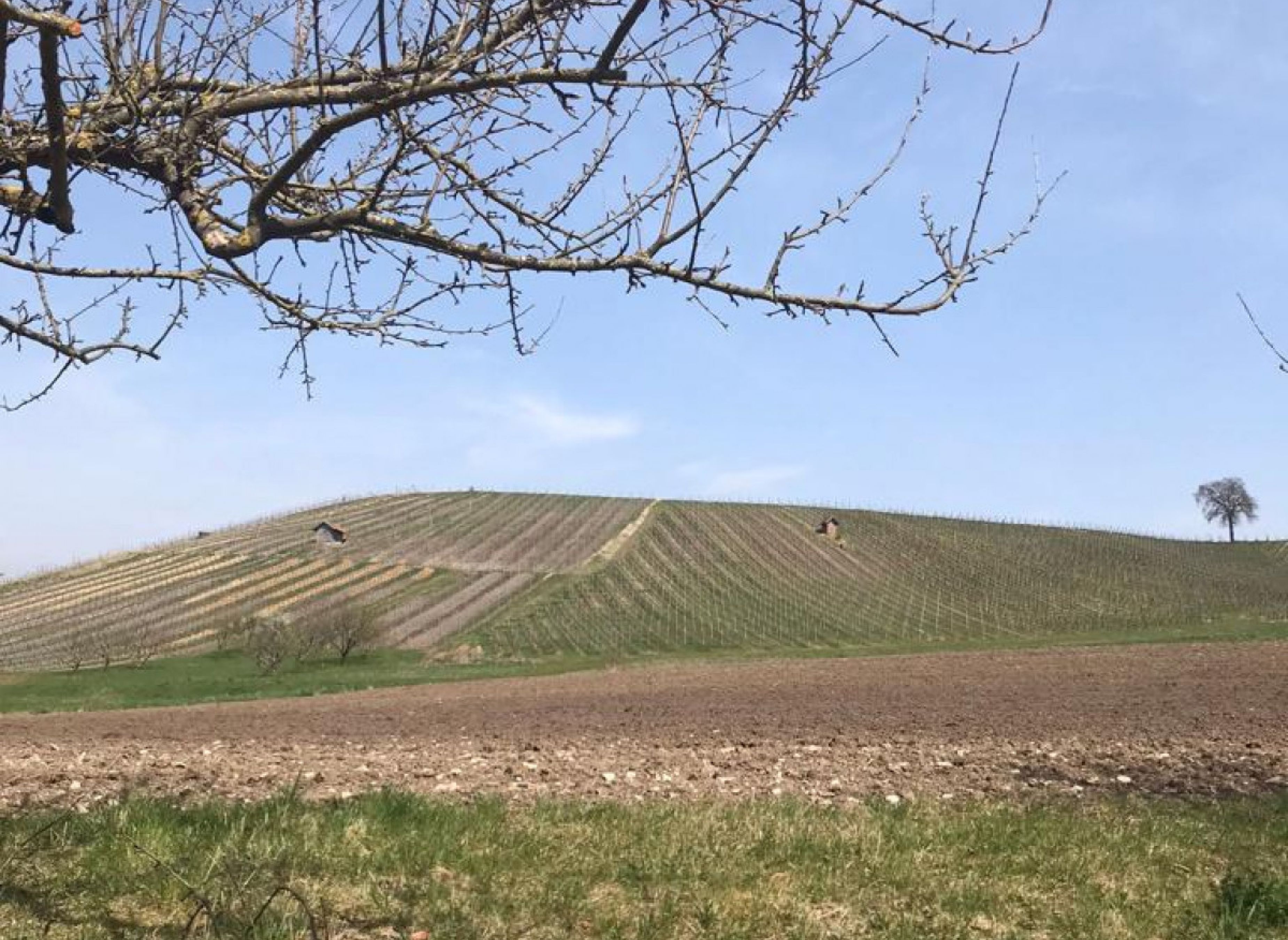 Am Löschweiher — Karavan Sitesi in Michelau im Steigerwald