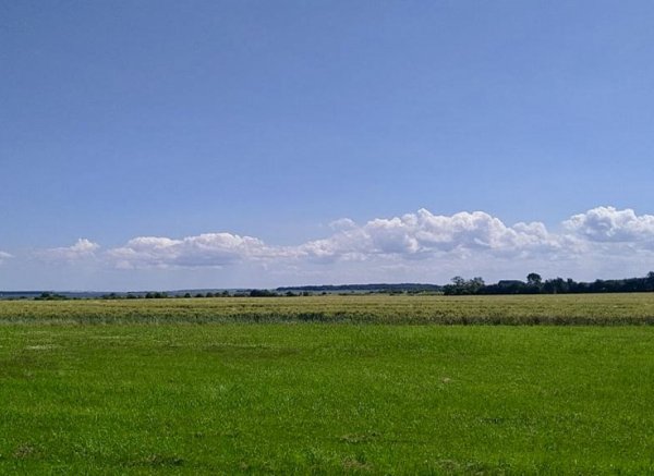 Auf der Künstlerwiese