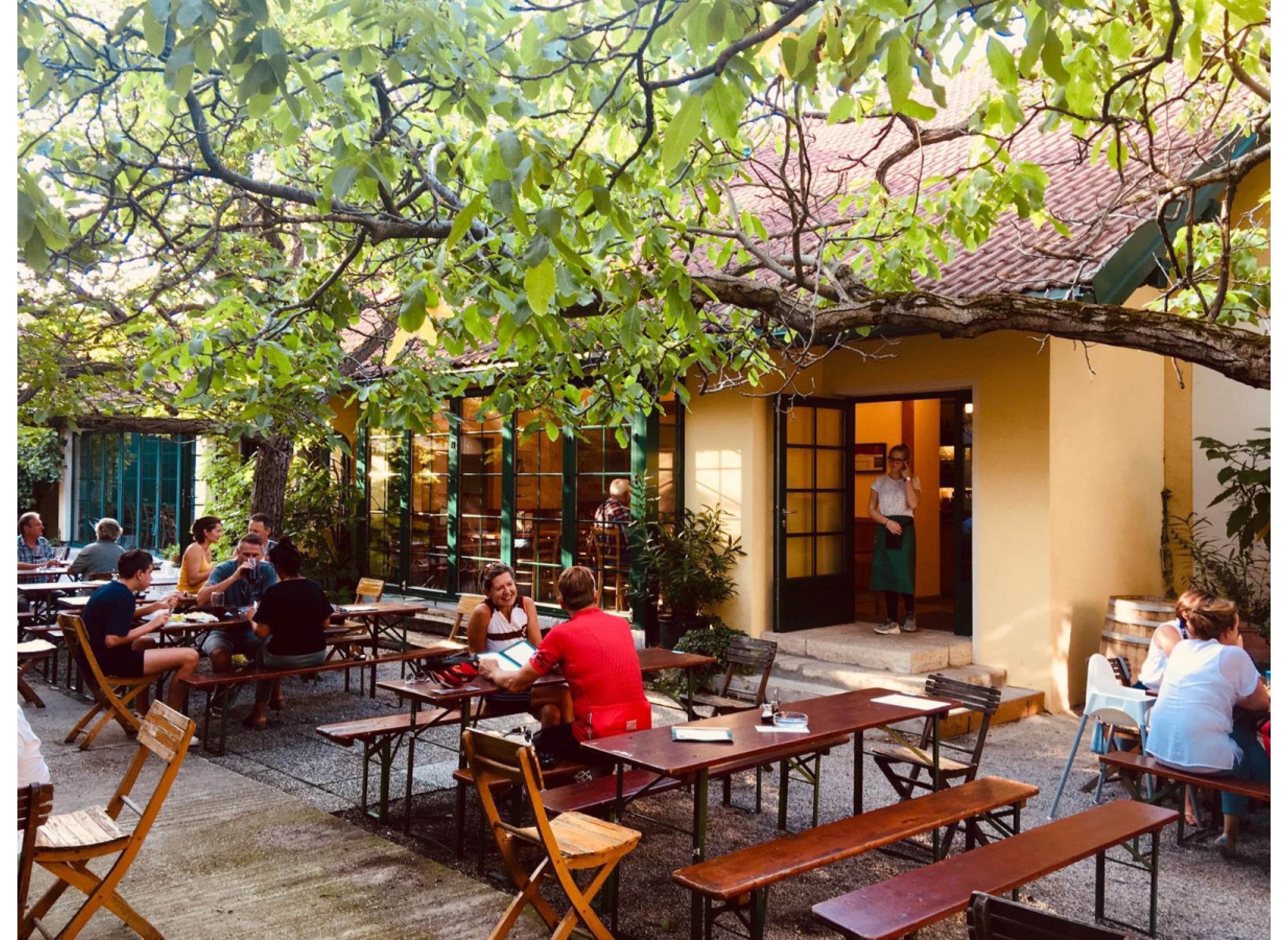 Stellplatz im Weingut "nur 1 Tag buchbar" — Stellplatz in Traiskirchen
