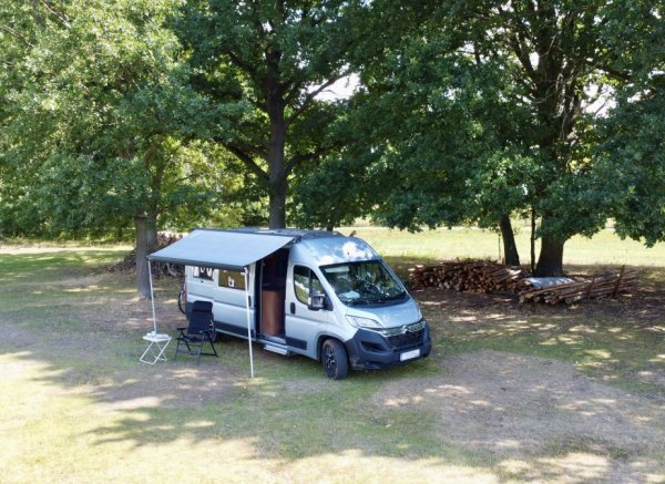 Pure Entspannung auf der Alpakaweide — Photo 3