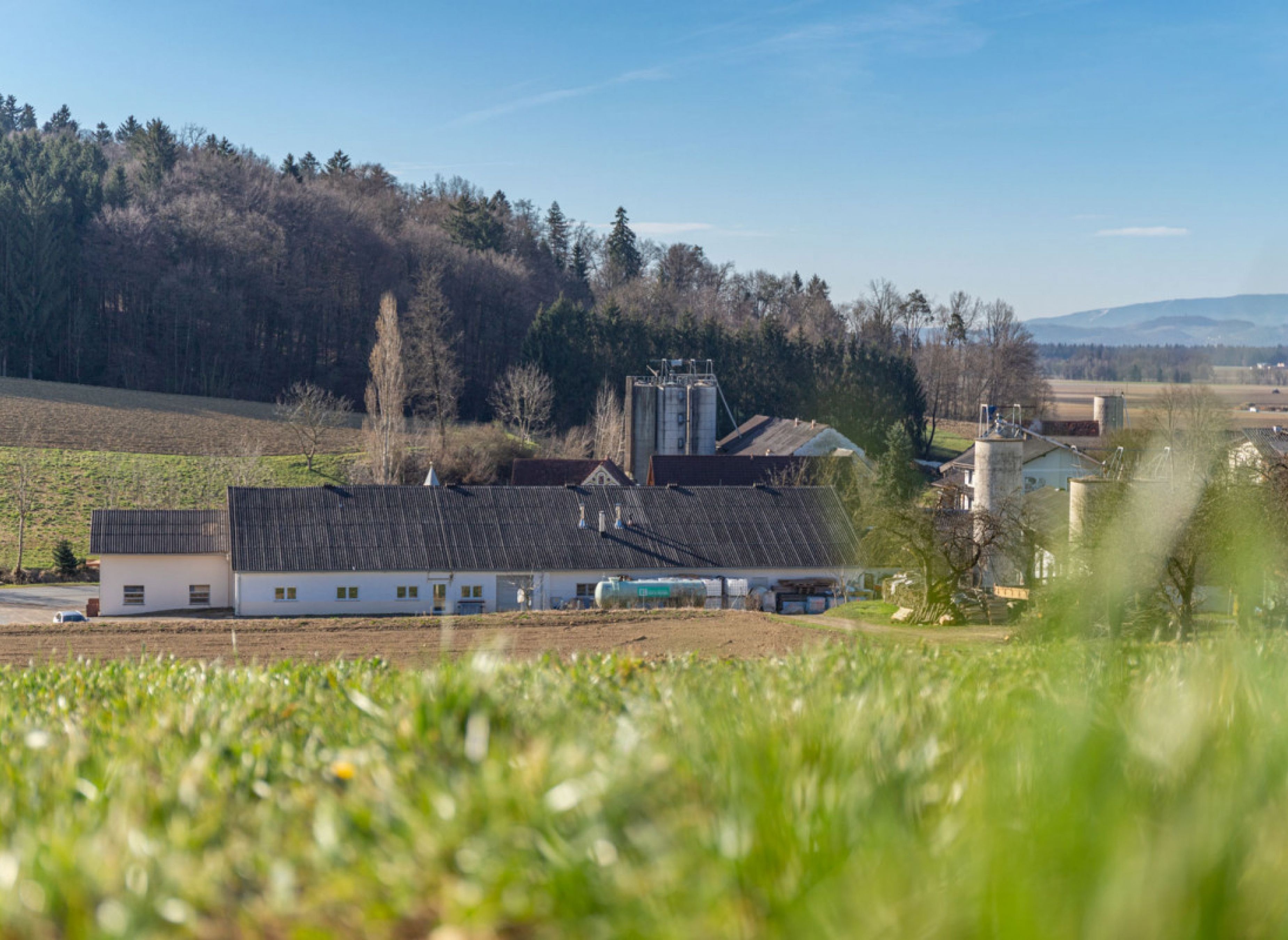 Blick in die Südsteirische Weinstraße — Weingut in Sankt Veit in der Südsteiermark