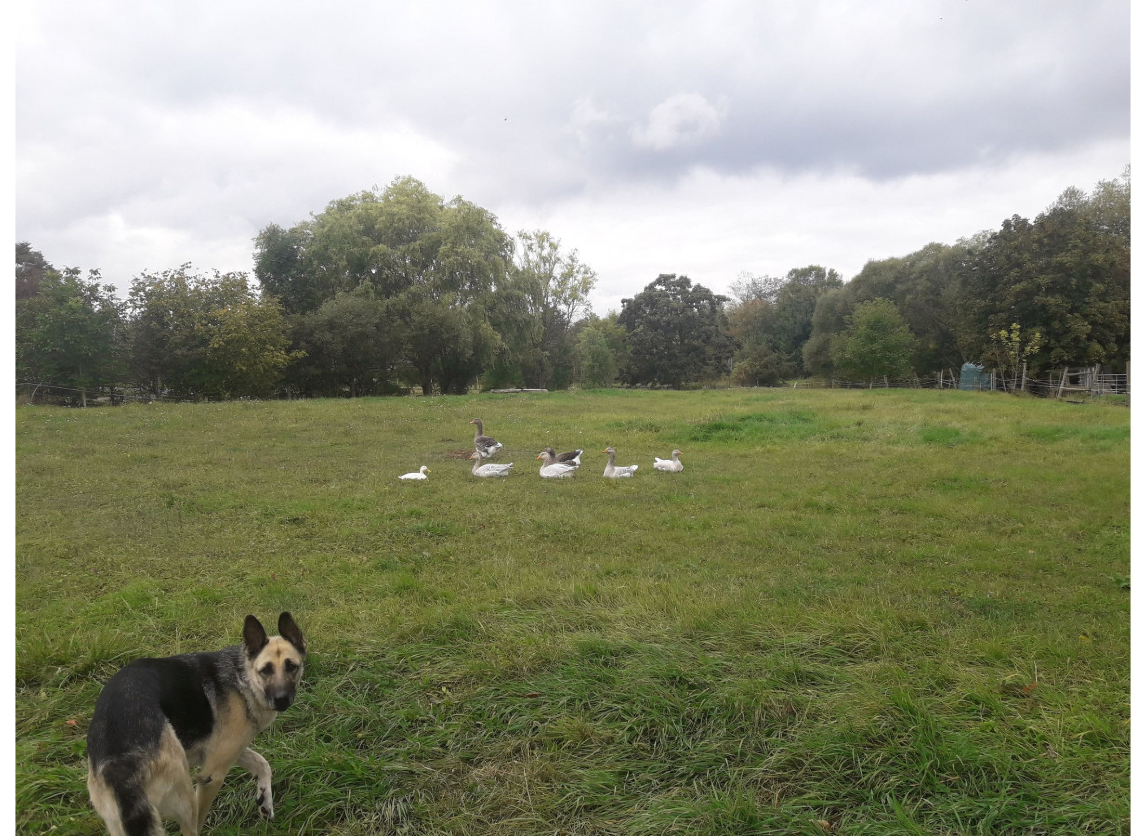 Gänsewiese #1 — Karavan Sitesi in Knetzgau