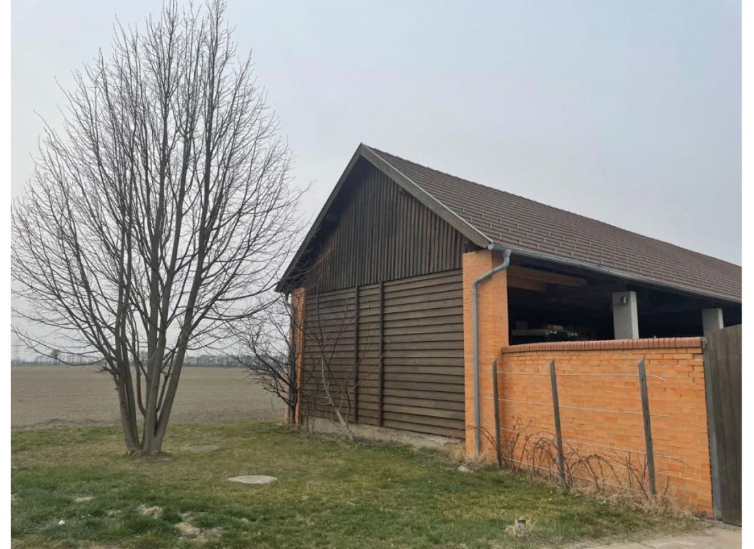 Im Herzen des Marchfelds — Stellplatz in Mannsdorf an der Donau