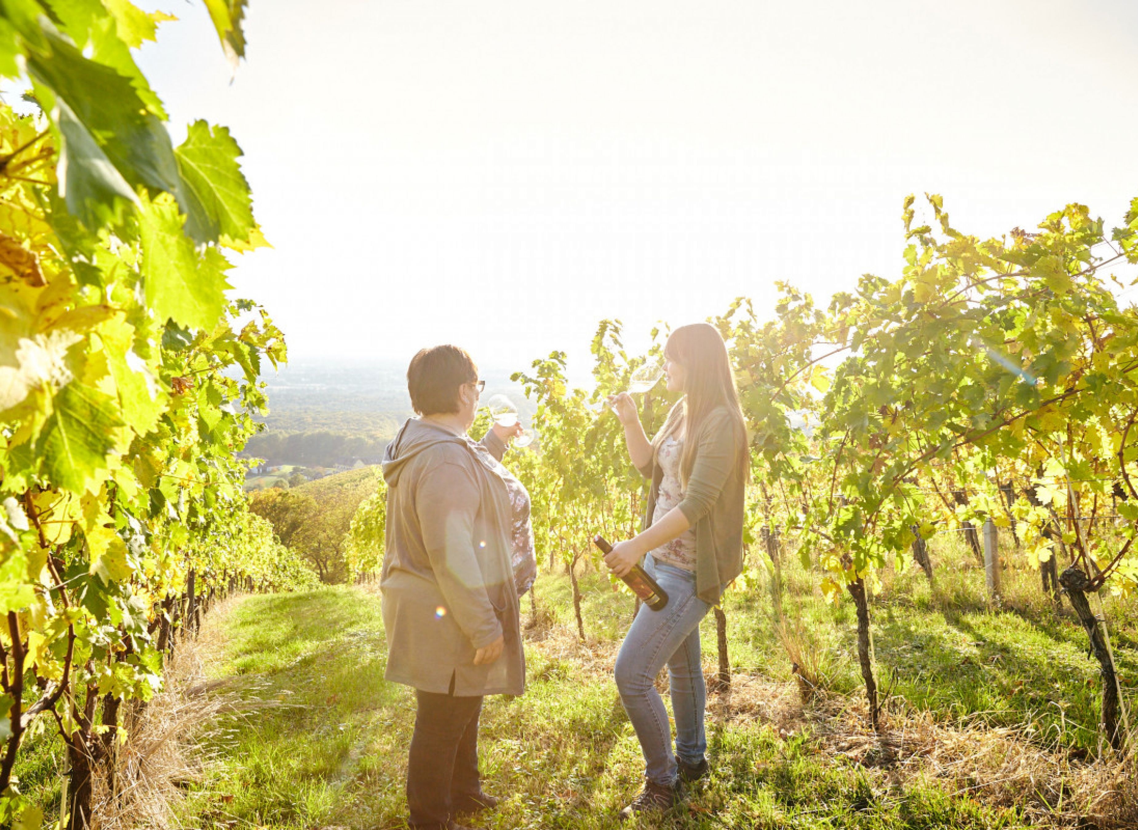Stellplatz am Fuße vom Klöchberg — Vineri in Halbenrain