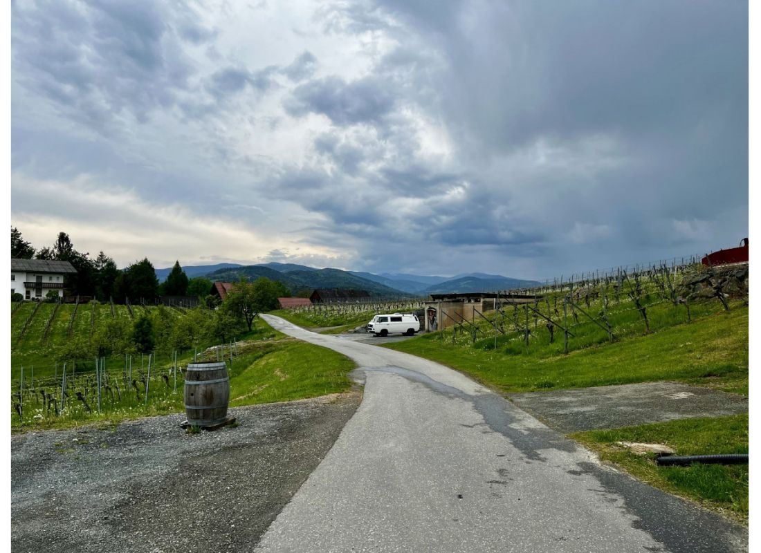 Camping am Weinguts-Hof #1 — Winery in Markt Hartmannsdorf
