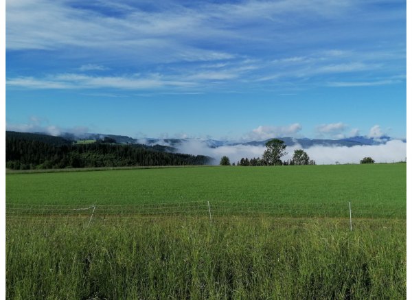 Auf dem Biohof im Joglland