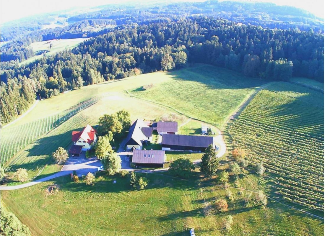 Mitten in der Schilchergegend — Winery in Sankt Stefan ob Stainz