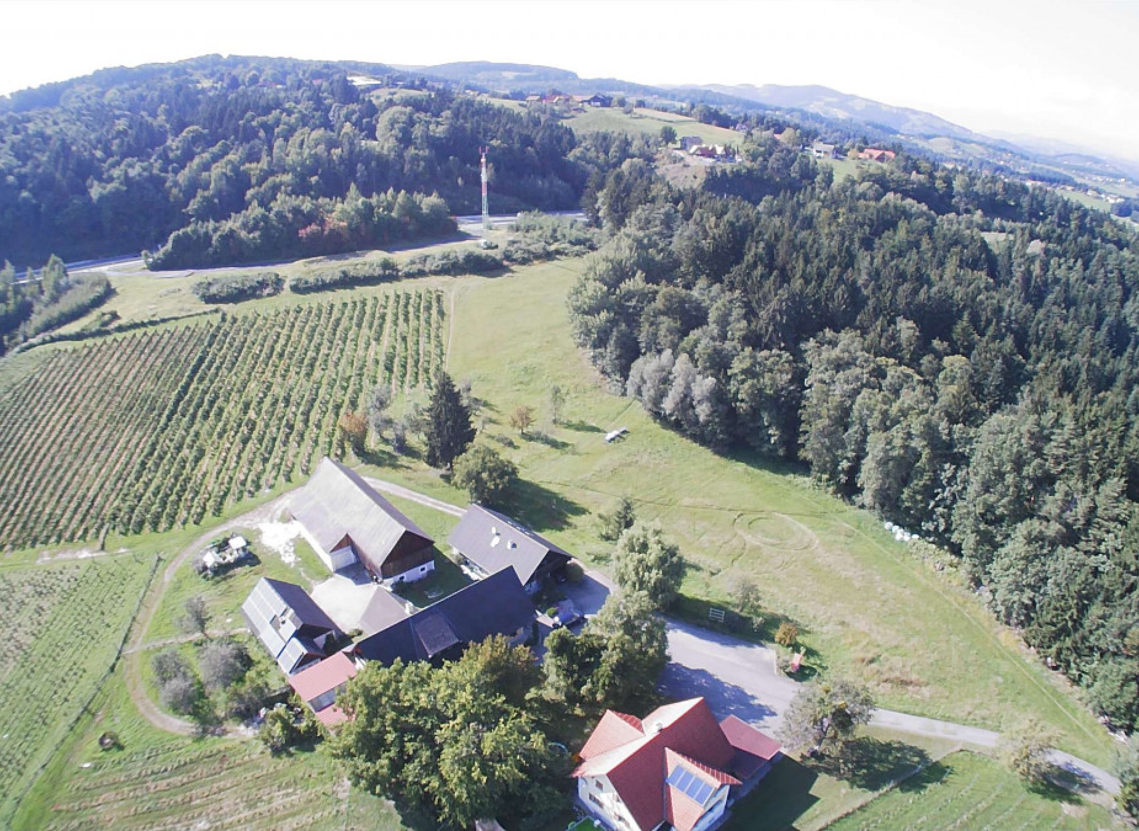 Mitten in der Schilchergegend — Vinícola in Sankt Stefan ob Stainz