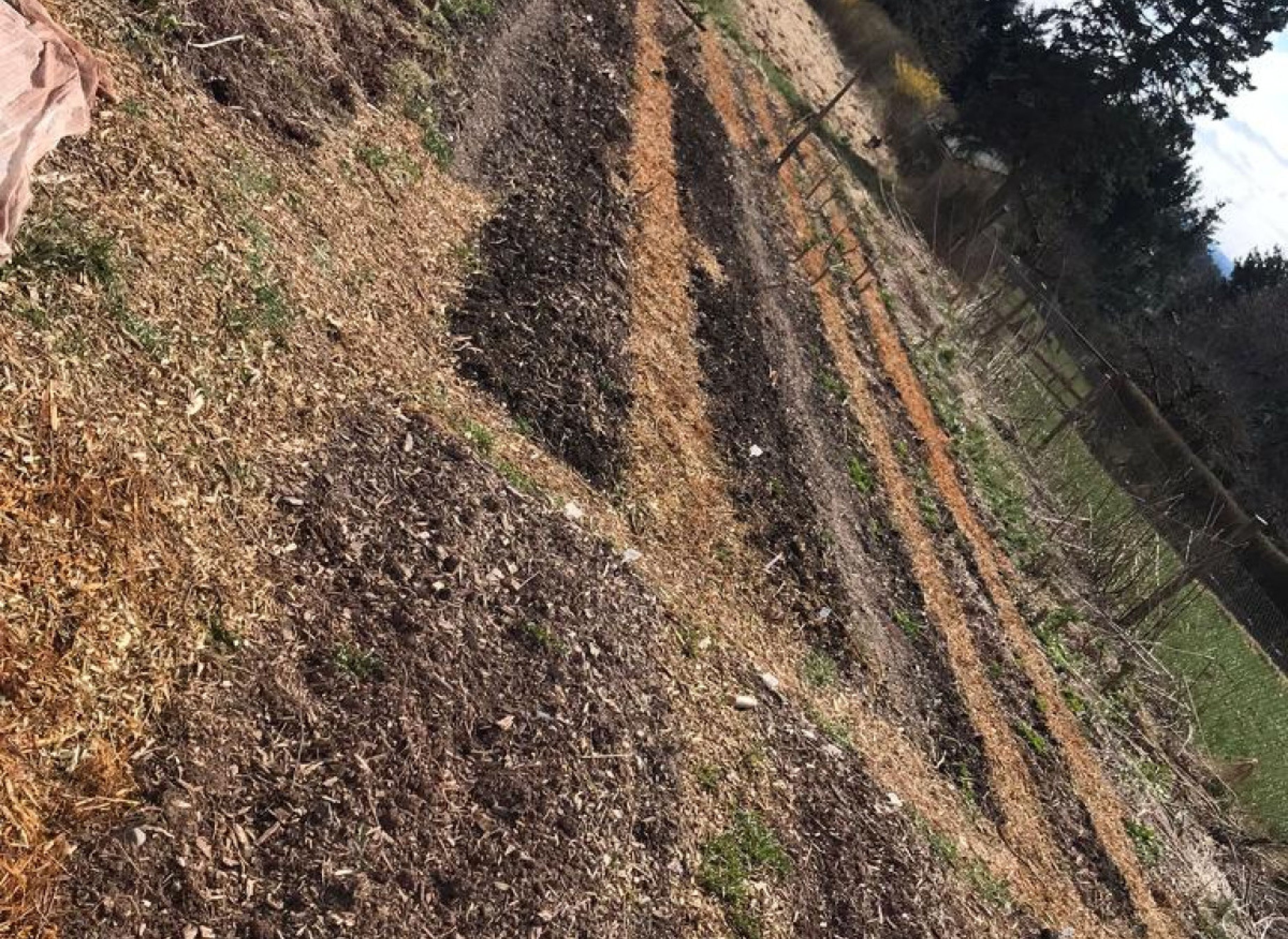 Inmitten der Permakultur #1 — Місце для кемперів in Föritztal