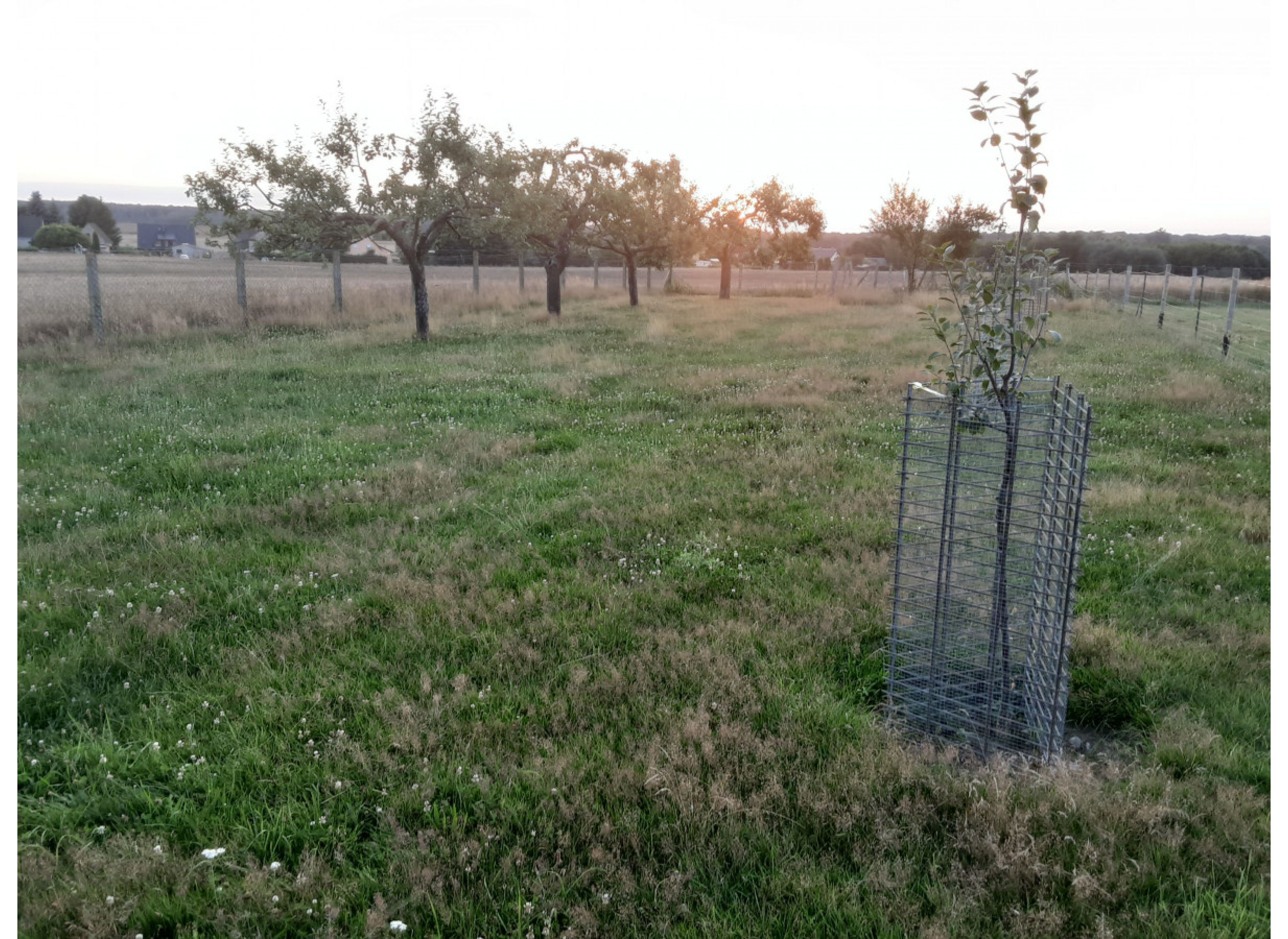 Ruhe und Entspannung am Rande der Feldberger Seenlandschaft — Campervan Site in Woldegk-Bredenfelde