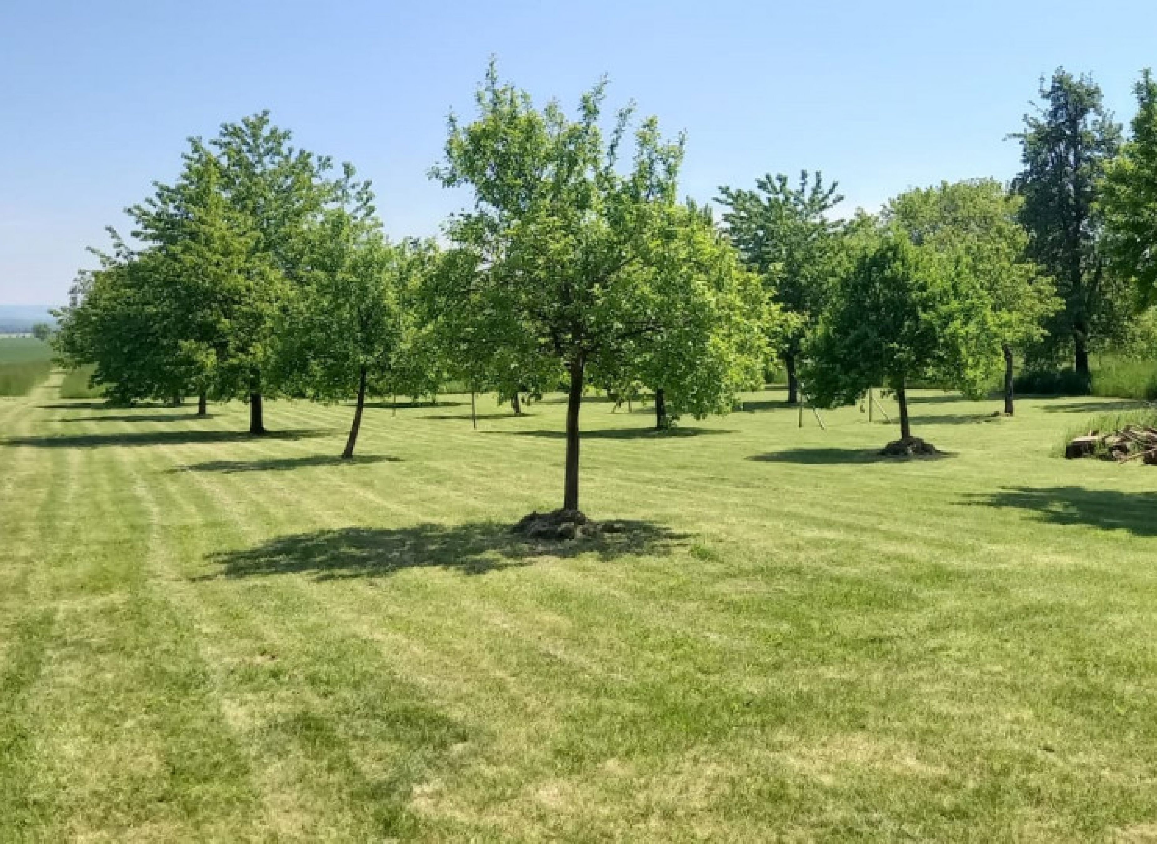 Camping auf der Obstplantage — Ställplats in Oppershausen