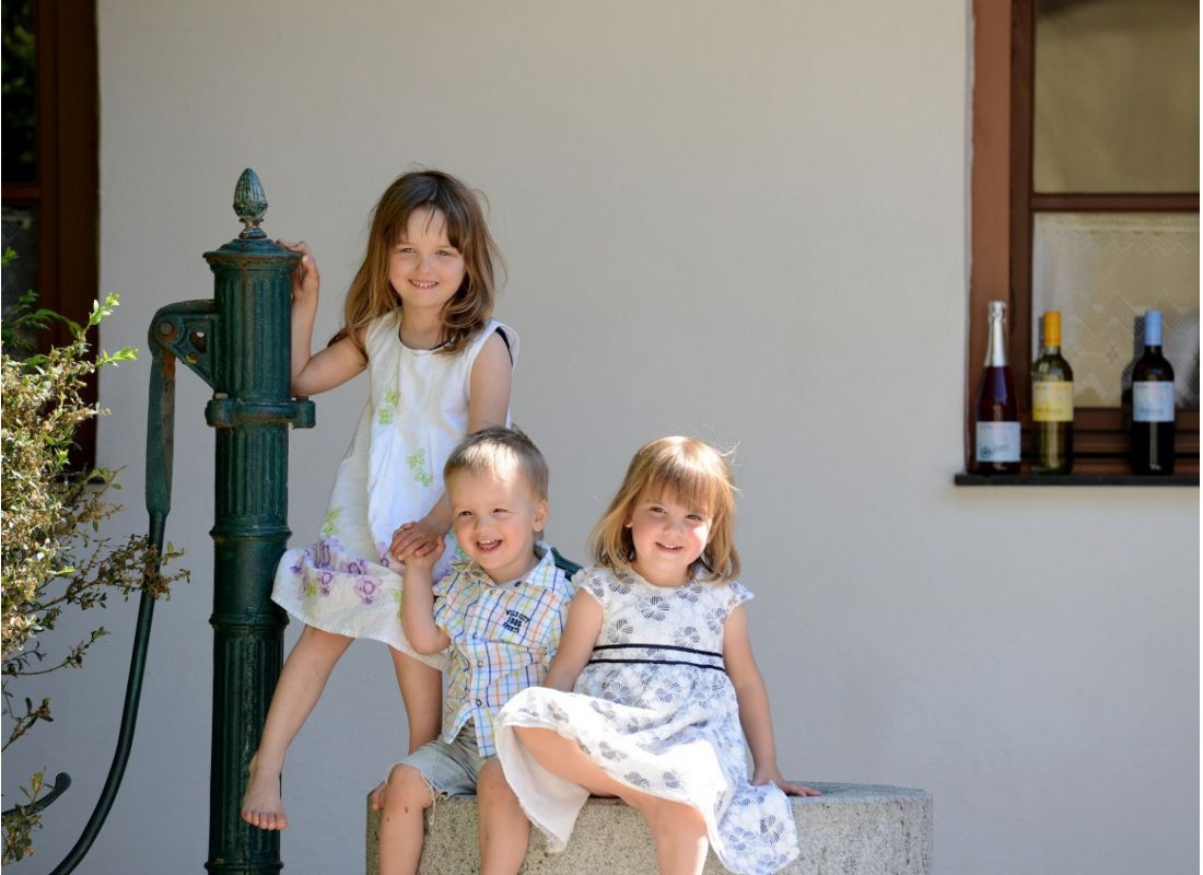 Am Bio Weingut — Vineri in Weitersfeld