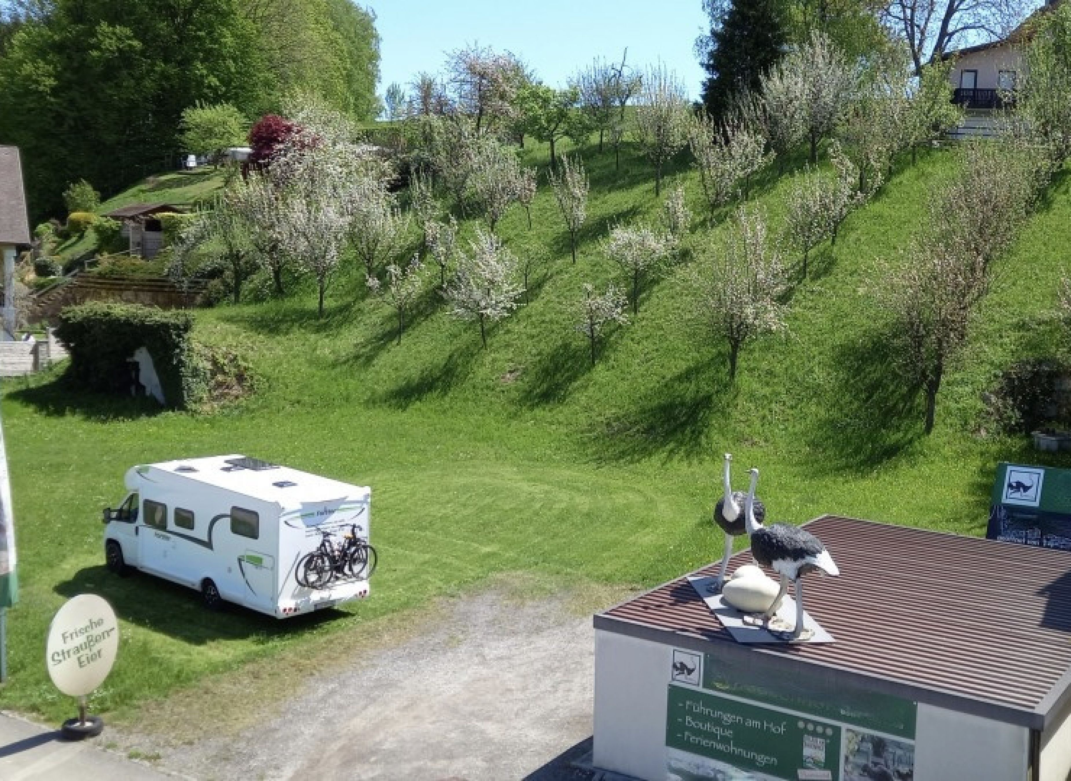 Am Straußenhof — Bobilplass in Winklarn