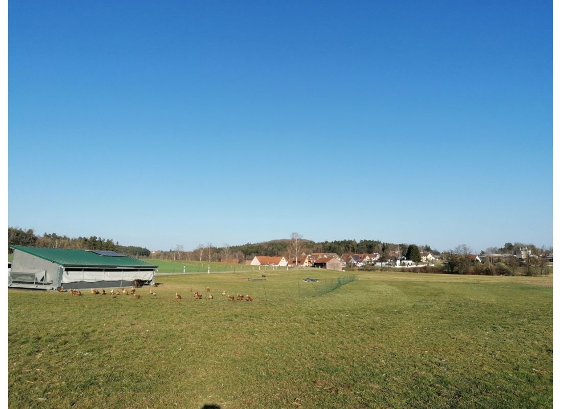 Auszeit mit tierischer Nachbarschaft — Area di sosta in Dinkelsbühl