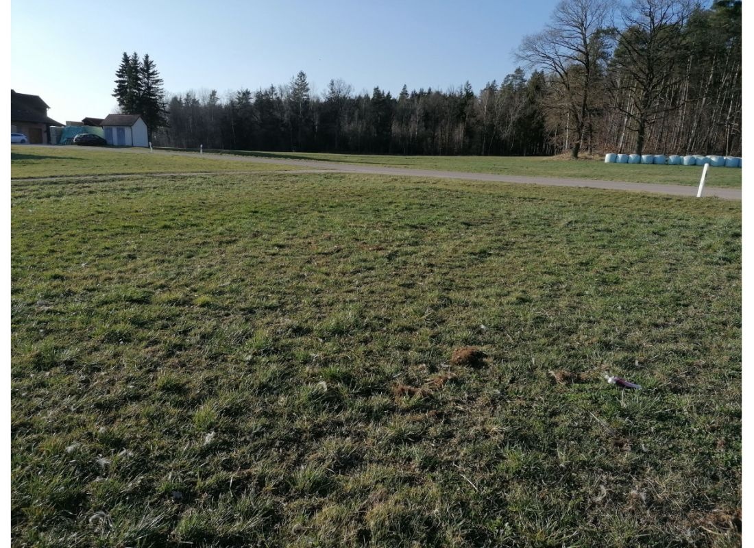Auszeit mit tierischer Nachbarschaft — Camperplads in Dinkelsbühl
