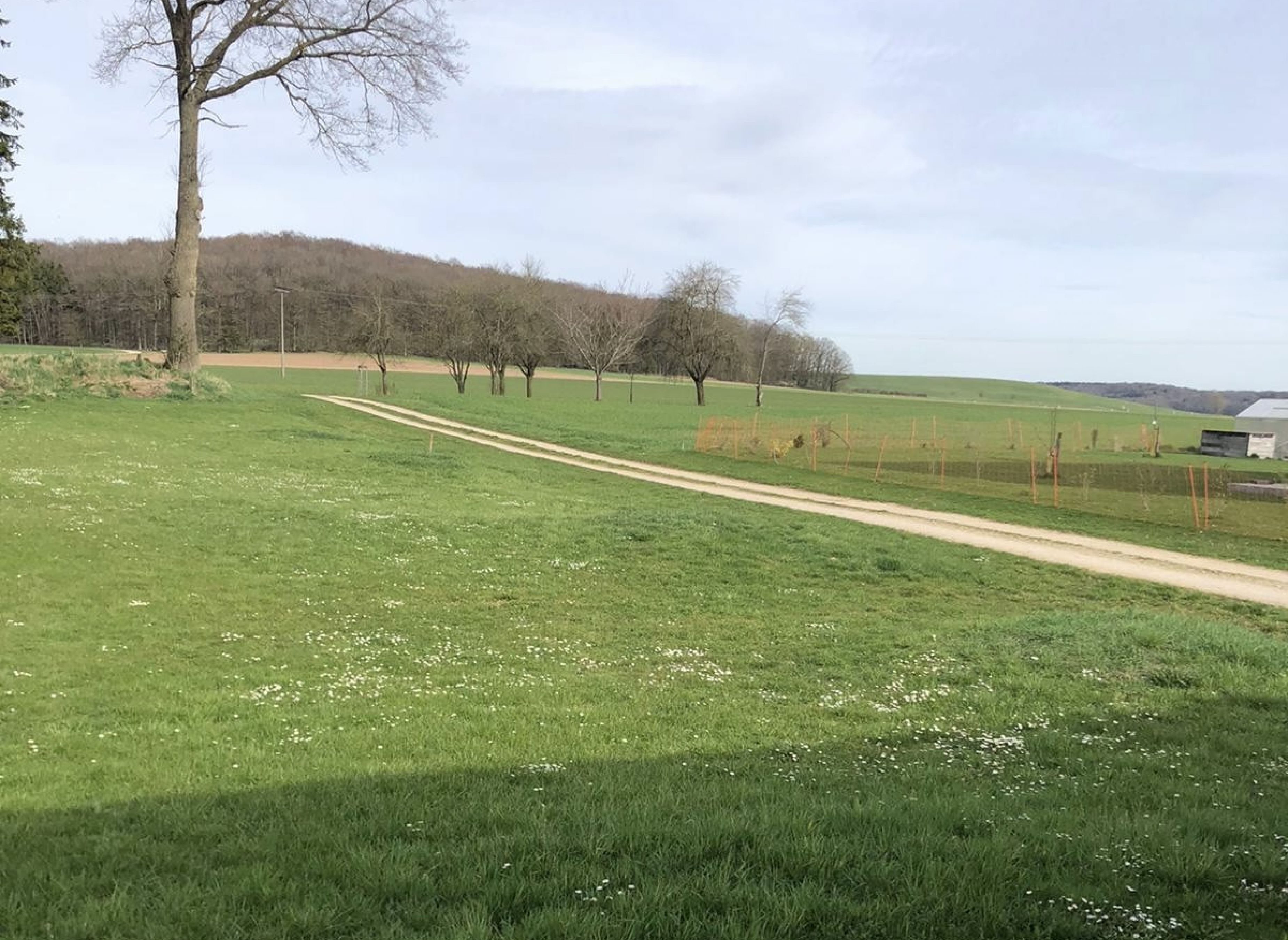 Sicht Wald und Wiese — Karavan Sitesi in Wassertrüdingen