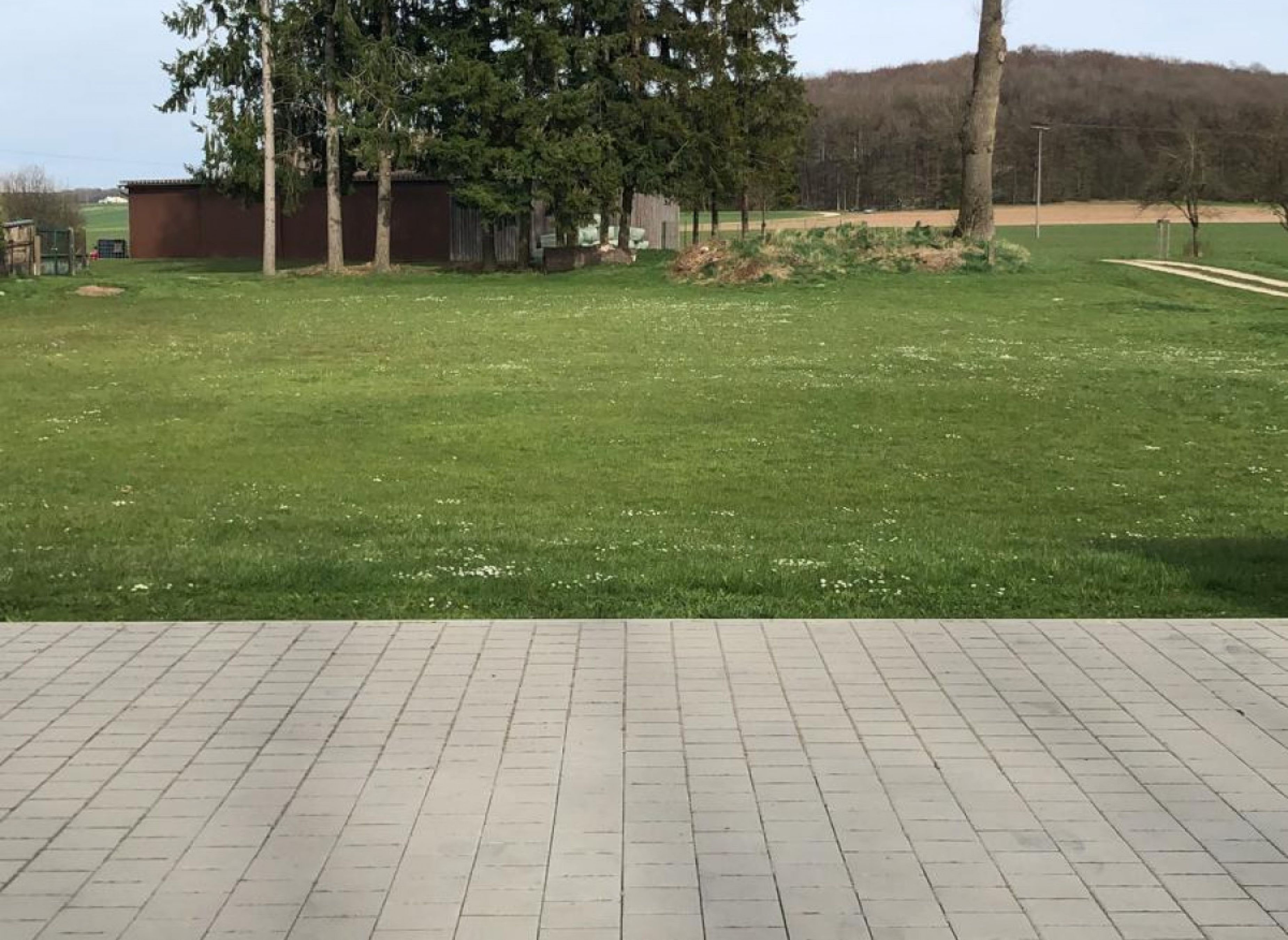 Sicht Wald und Wiese — Campervan Site in Wassertrüdingen