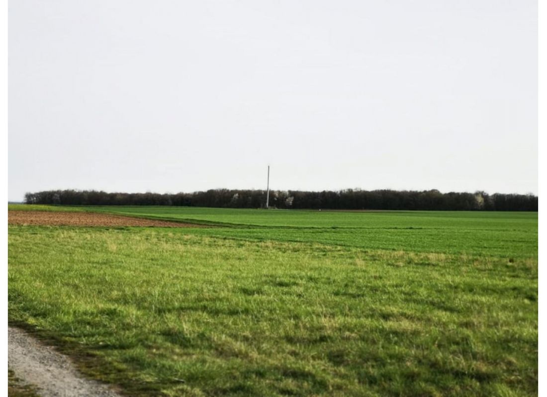 Mit den Vögeln aufstehen — Bobilplass in Kolitzheim