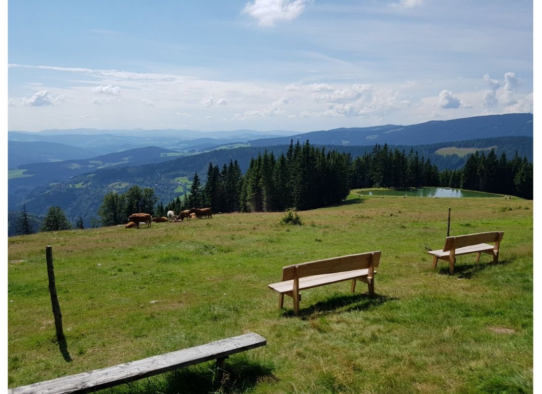 Glatzl Trahütten Alm — Stellplatz in Sankt Lorenzen am Wechsel