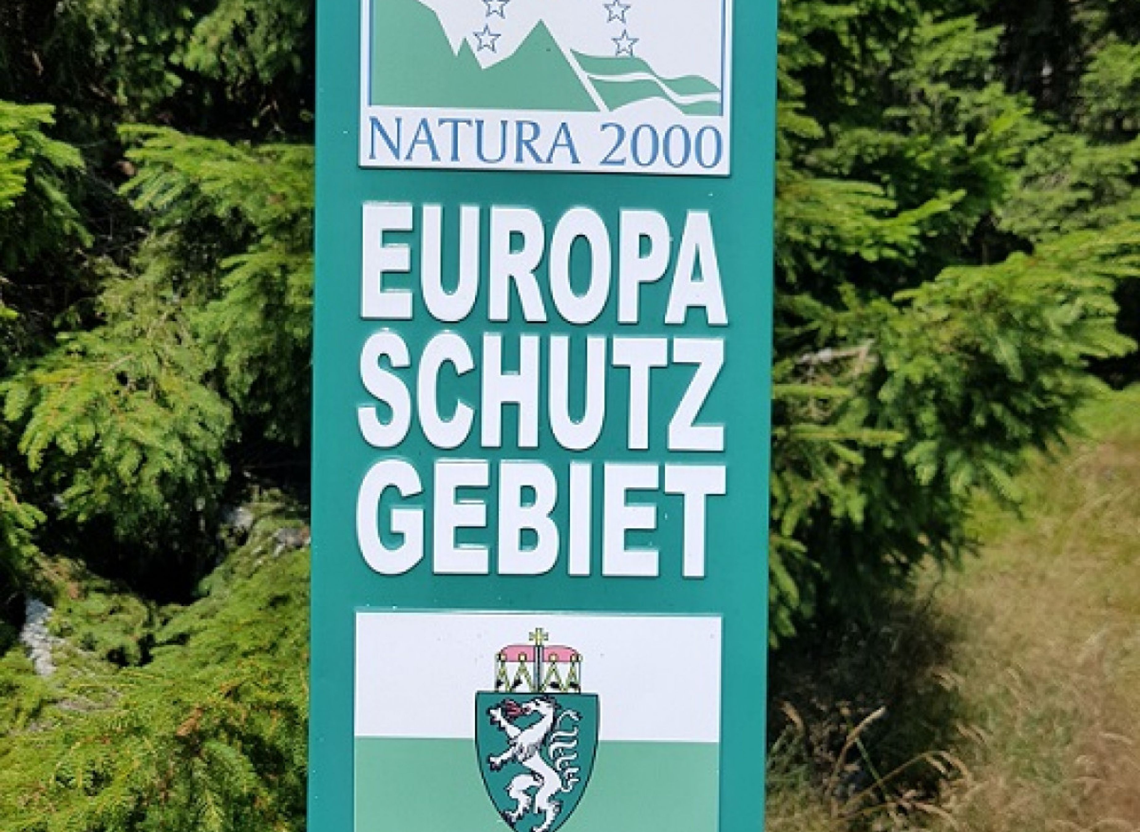 Glatzl Trahütten Alm — Bobilplass in Sankt Lorenzen am Wechsel