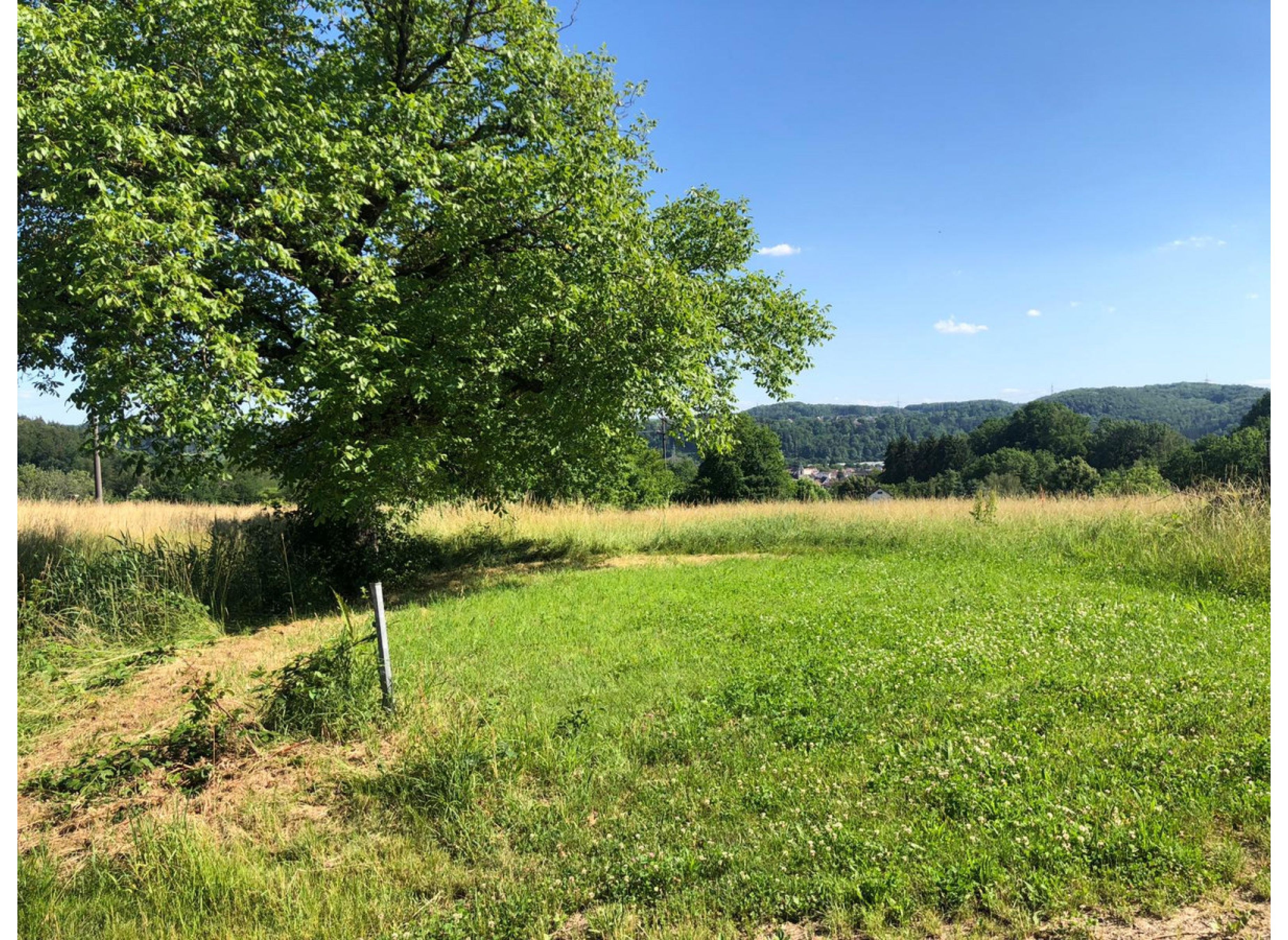 Unter dem Nussbaum — Sp. parking dla kamperów in Steinen