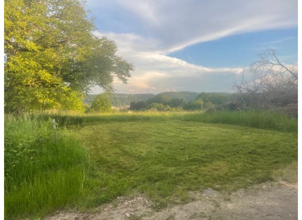Unter dem Nussbaum — Zdjęcie 3