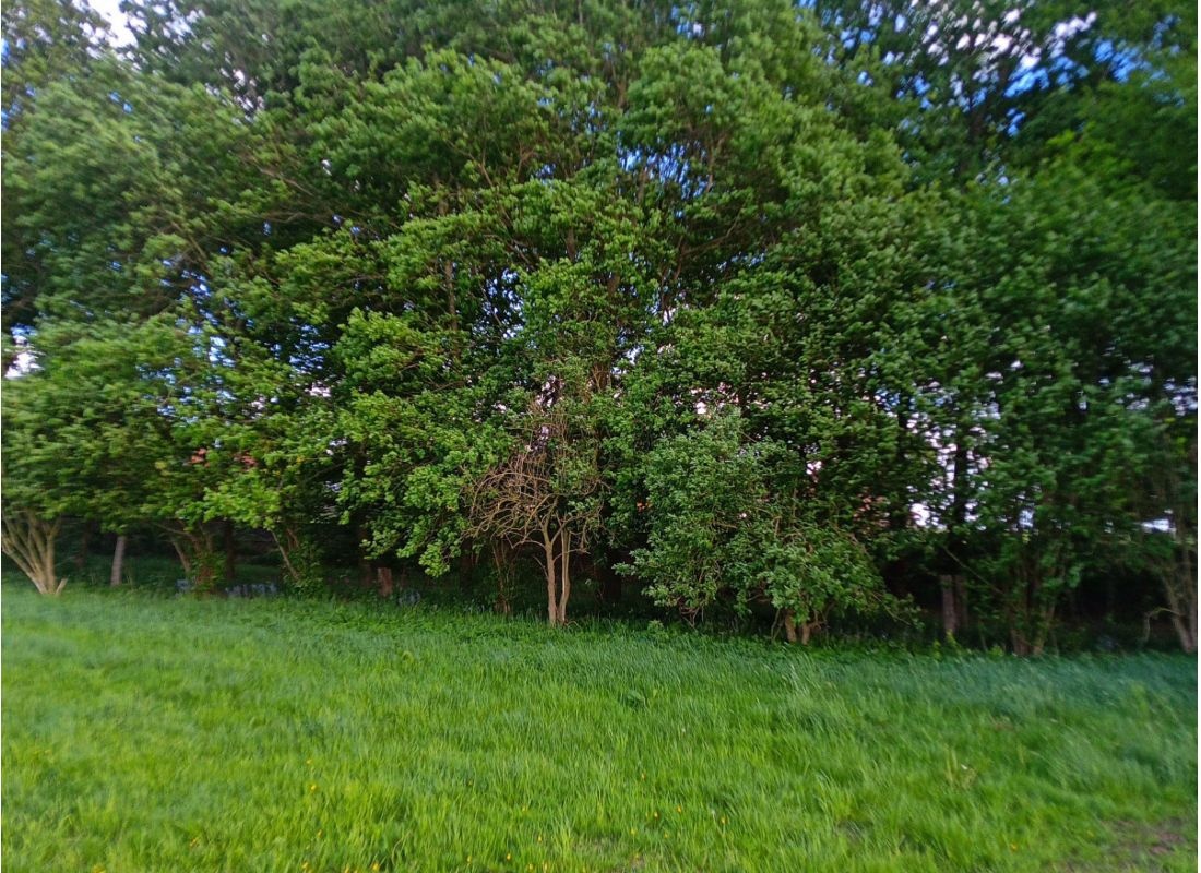 Auszeit im Grünen — 露营车营地 in Kutenholz