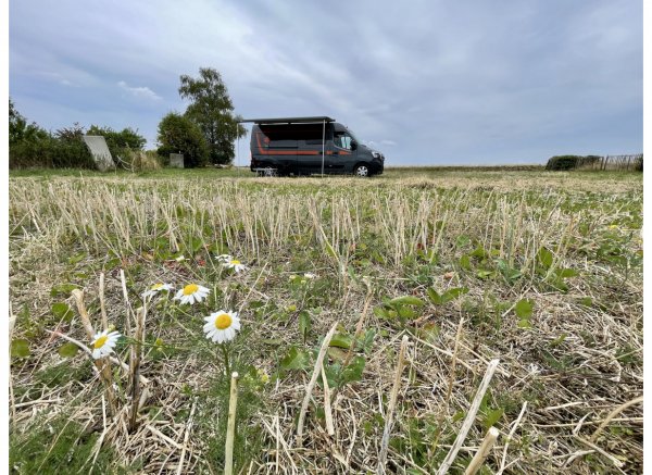 Traumhafte Aussicht im Grünen