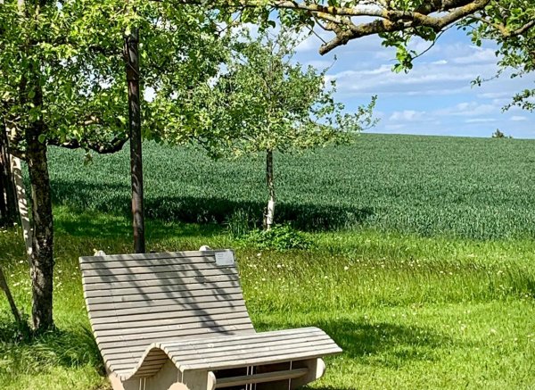 Auszeit an der Blumen-Streuobstwiese + Feuerstelle
