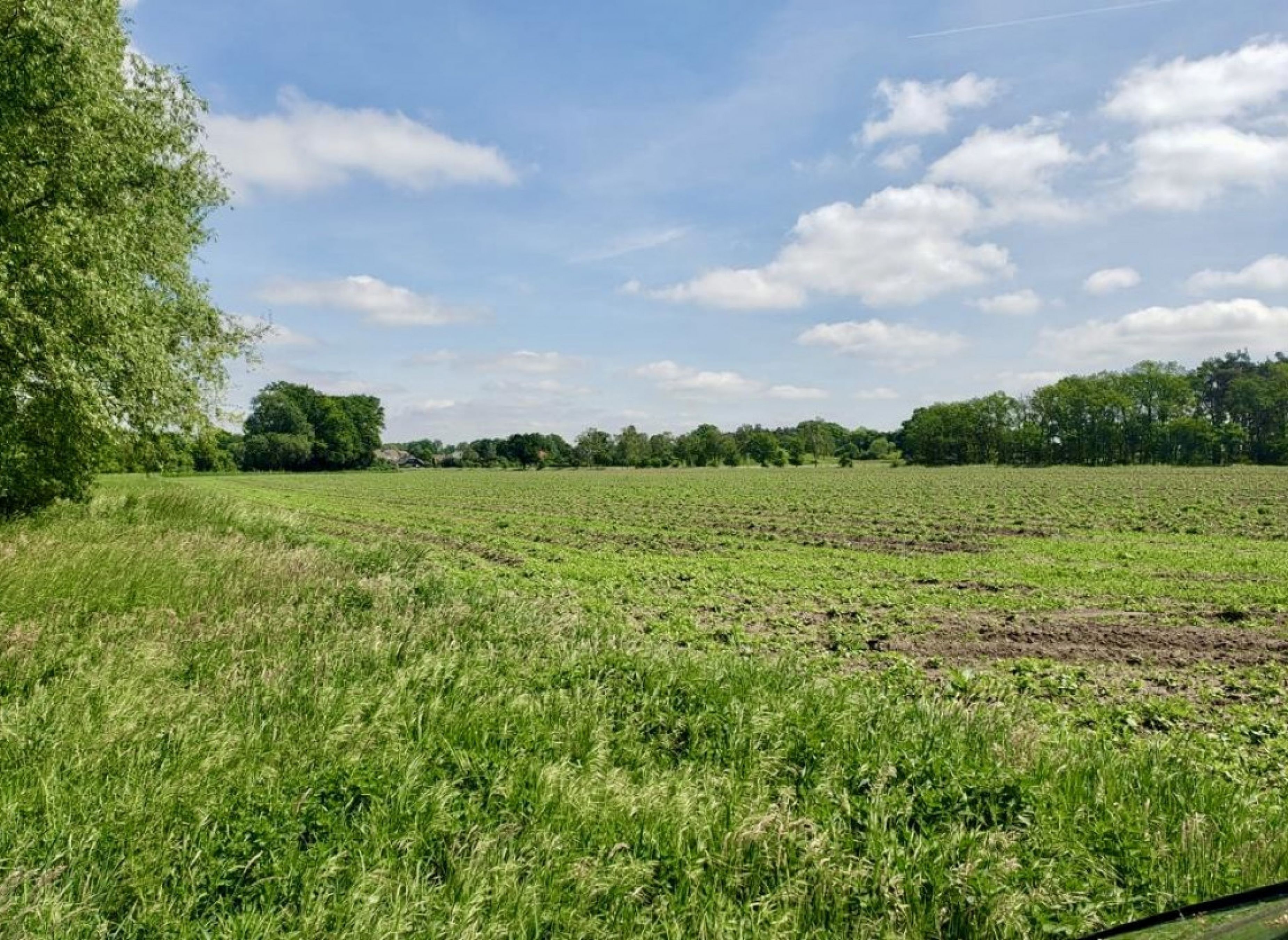 ruhiger Einzelstellplatz zwischen Feldern, Wiesen und Weiden — Karavan Sitesi in Lüchow