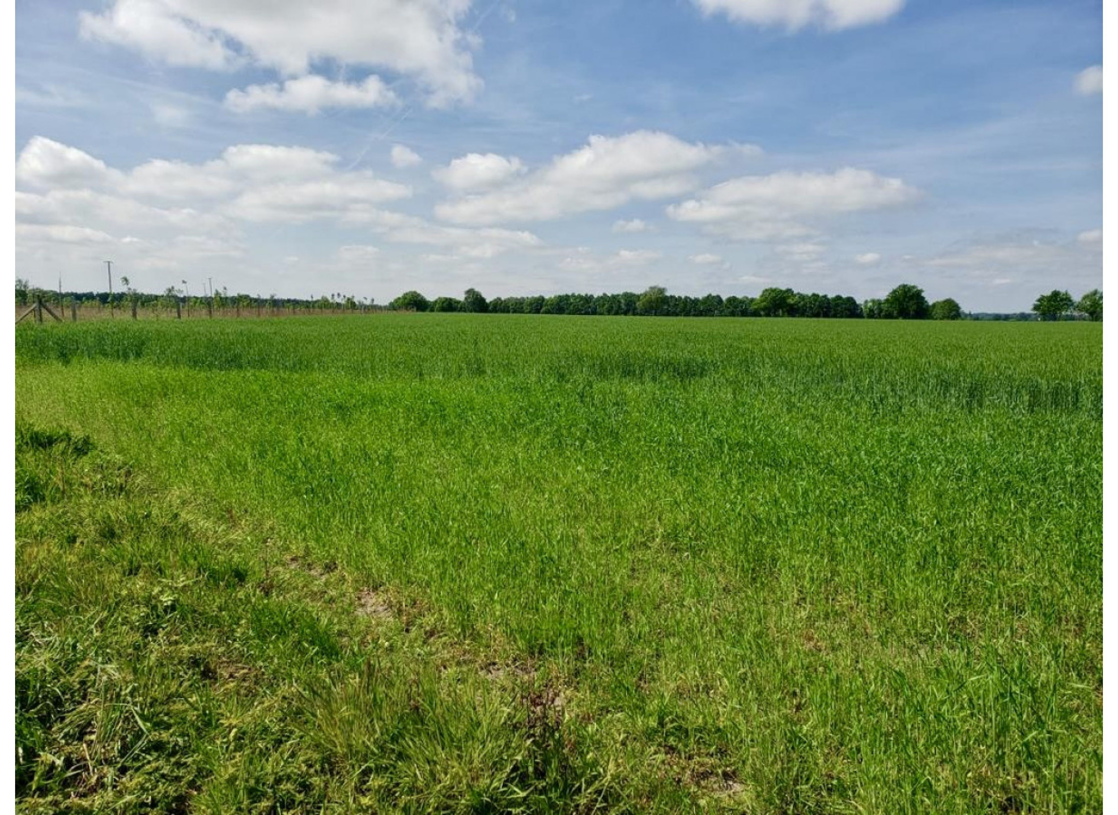 ruhiger Einzelstellplatz zwischen Feldern, Wiesen und Weiden — Area di sosta in Lüchow