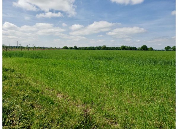 ruhiger Einzelstellplatz zwischen Feldern, Wiesen und Weiden