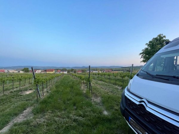 Weinbergsblick — Photo 4