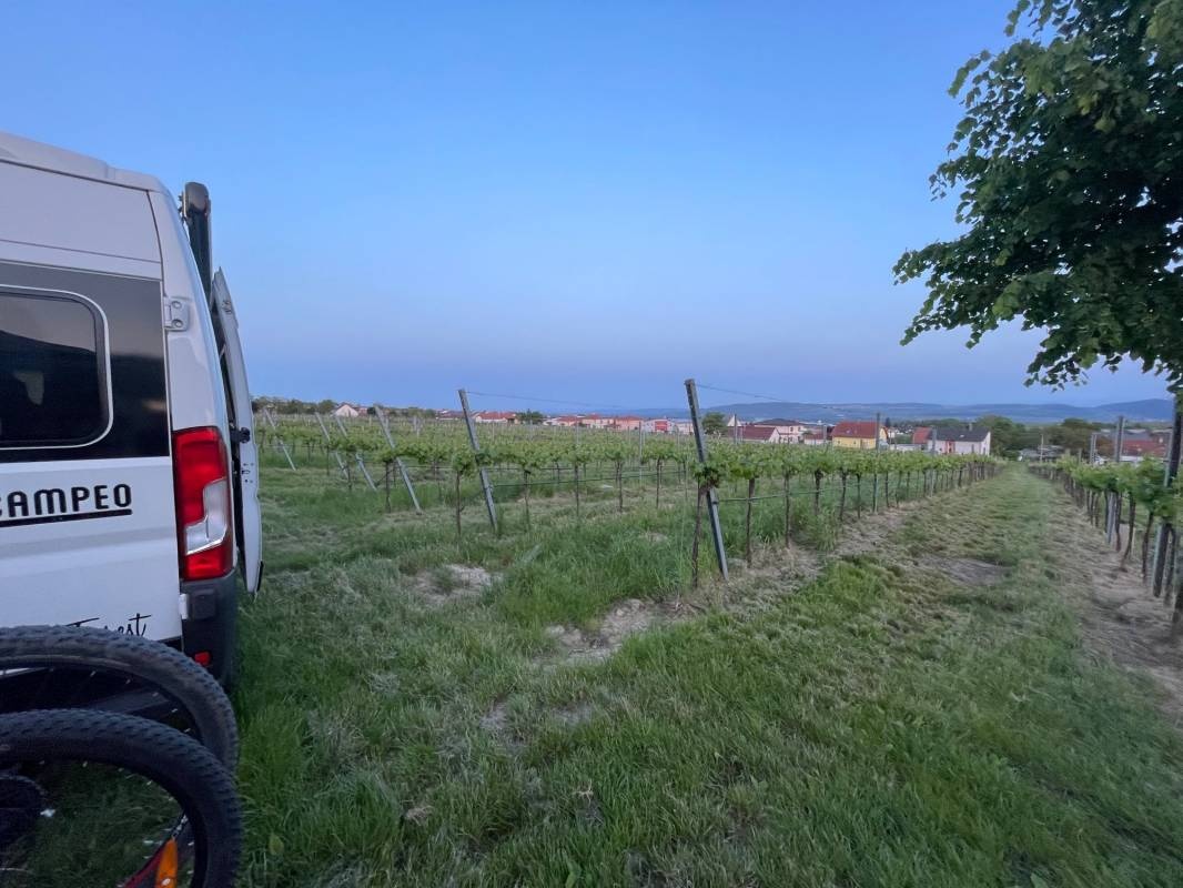 Weinbergsblick — Winiarnia in Krems an der Donau