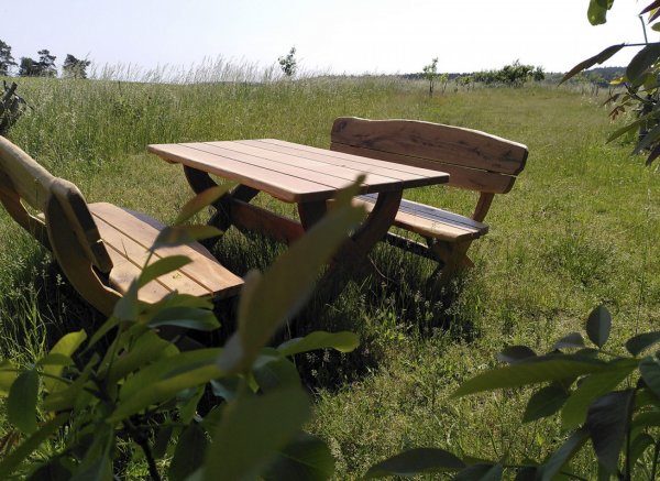 Bulliwiese in Groß Schulzendorf — Photo 2