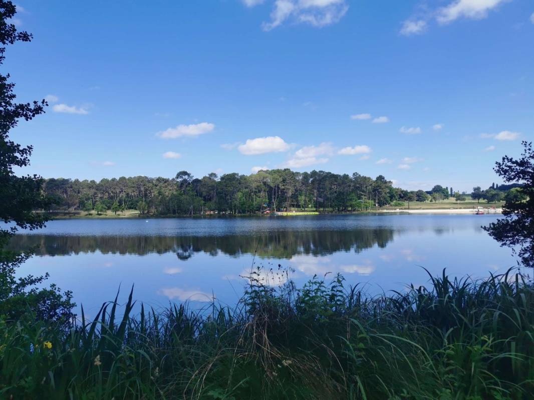 Aire de Campingcar/Castel Chalets — Місце для кемперів in Casteljaloux