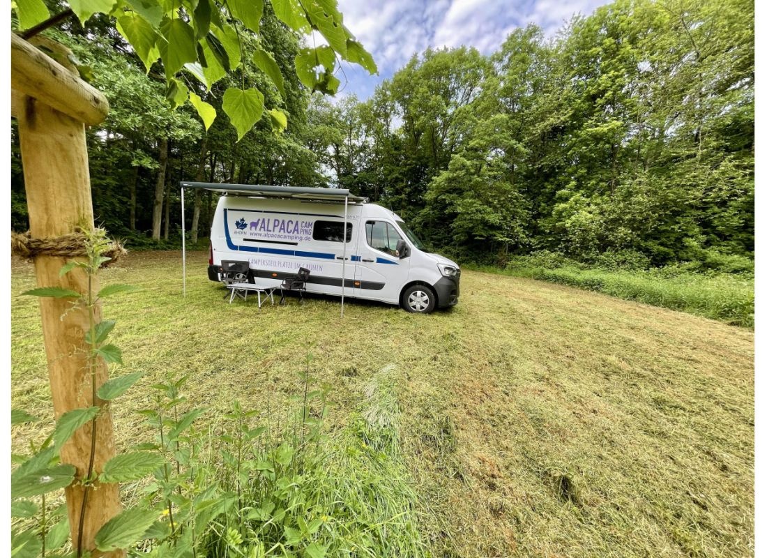Idyllische Wiese am Grillplatz — Campervan Site in Frankelbach