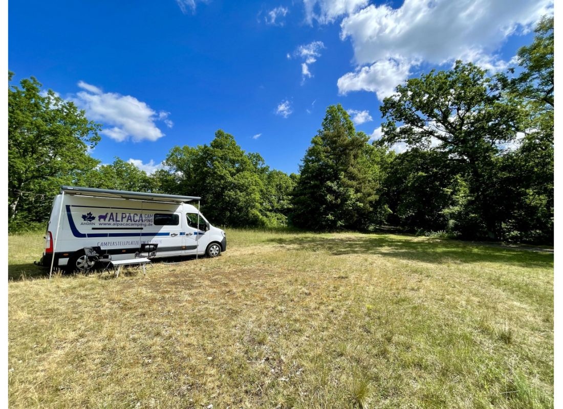 Waldplatz an der Pfälzerwaldhütte — Camperplaats in Olsbrücken