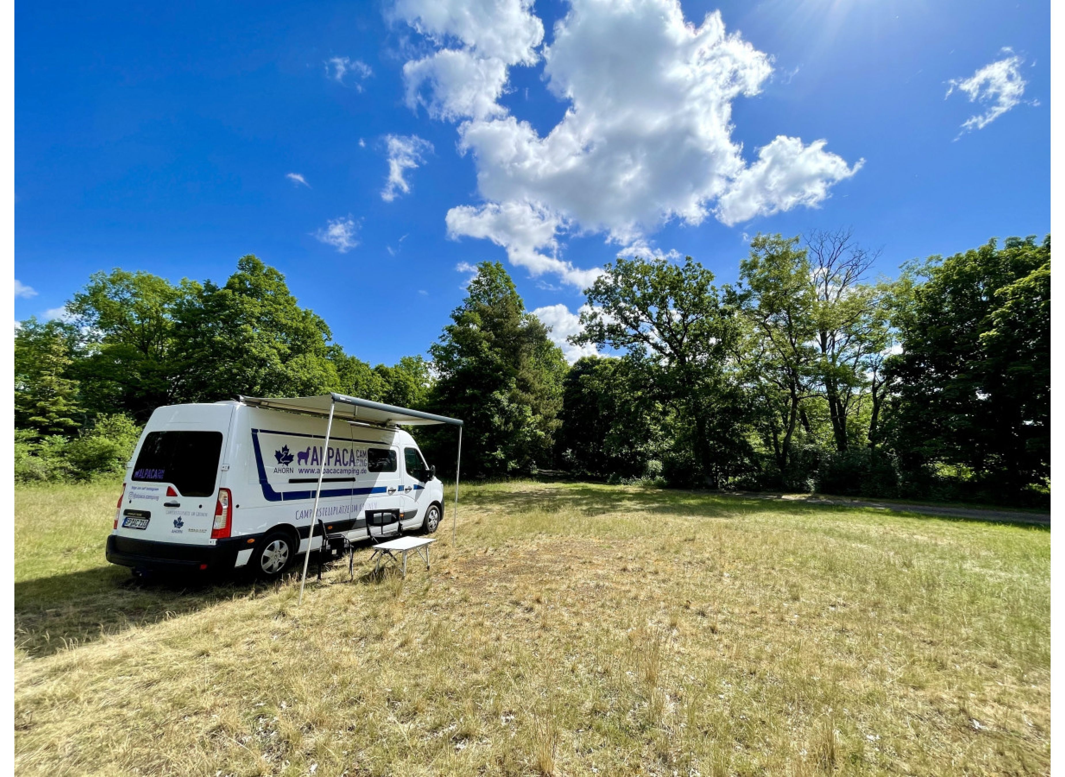 Waldplatz an der Pfälzerwaldhütte — Campervan Site in Olsbrücken