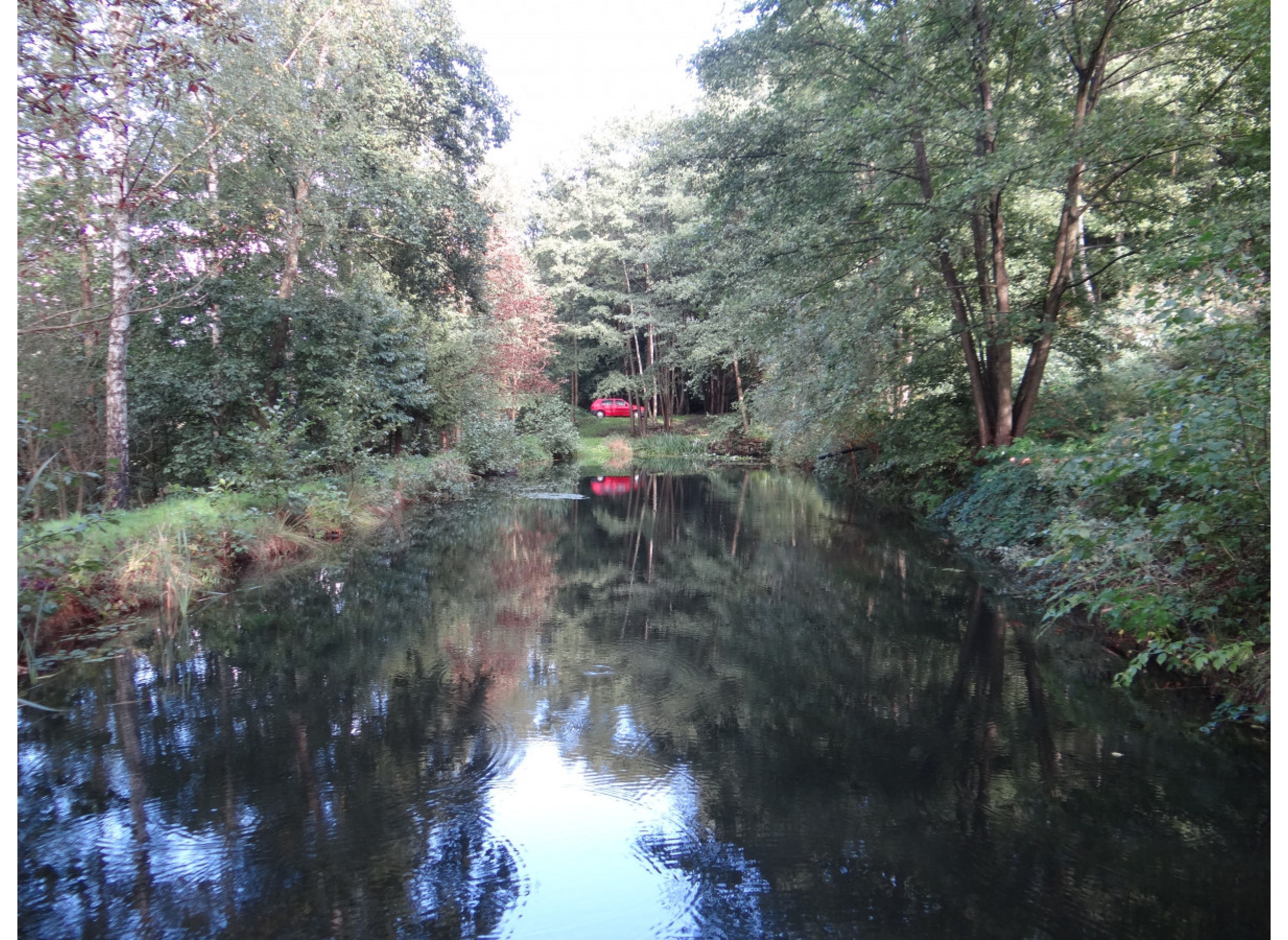 Am Teich beim Grünen Band — Bobilplass in Probstzella