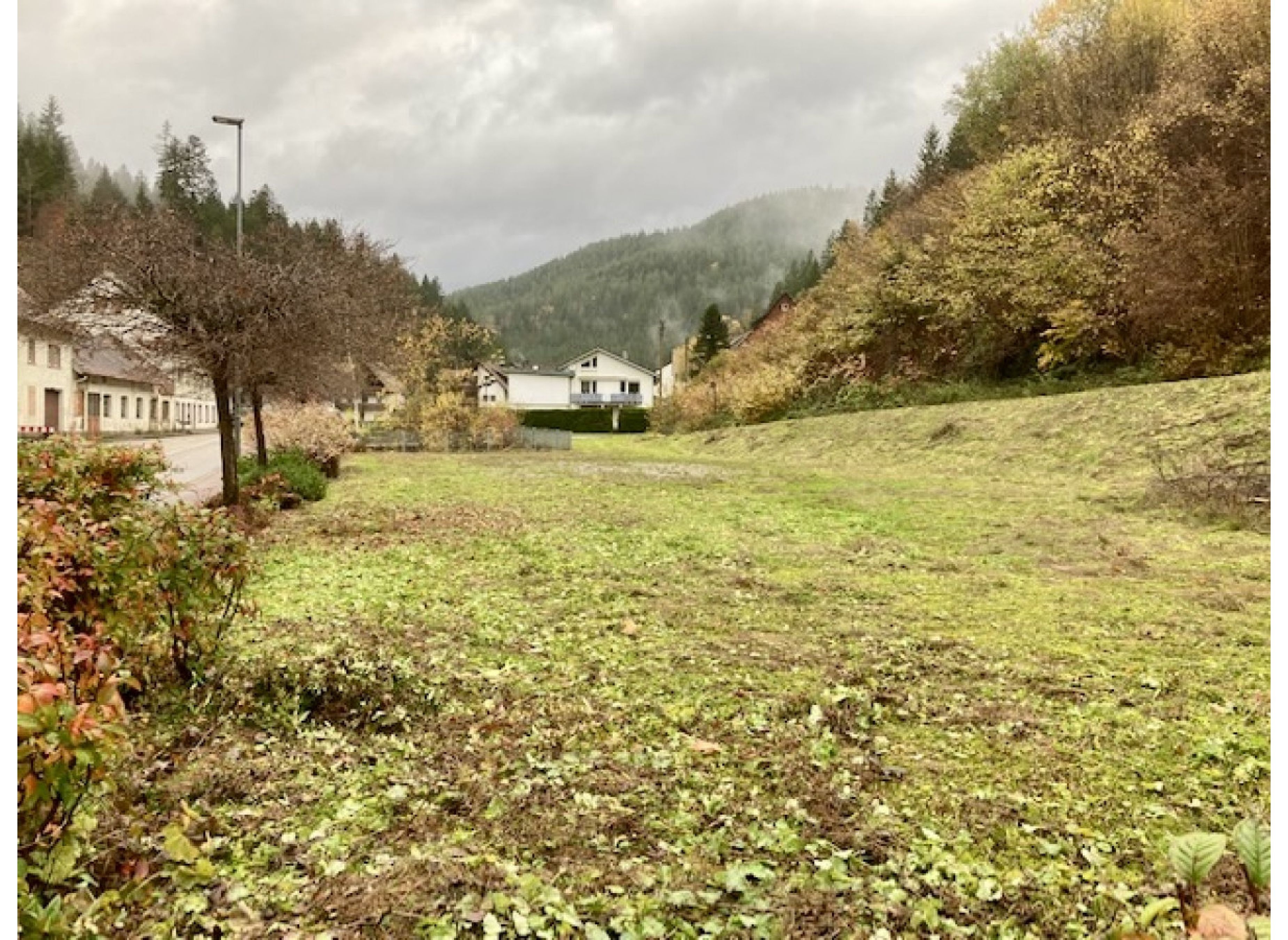 Im Nordschwarzwald — Campervan Site in Bad Rippoldsau-Schapbach