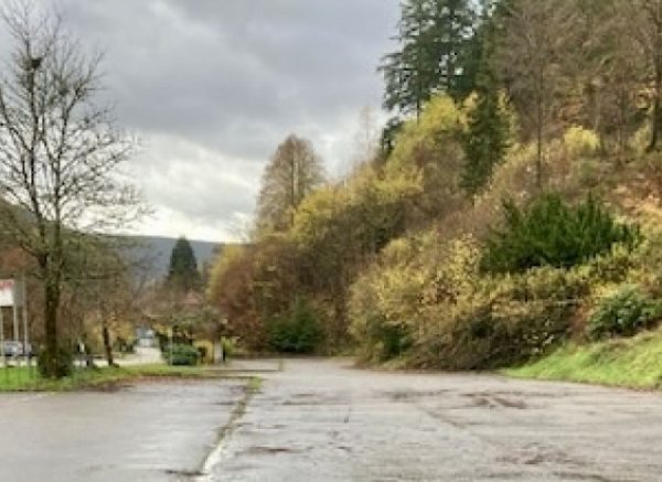 Im Nordschwarzwald — Photo 2