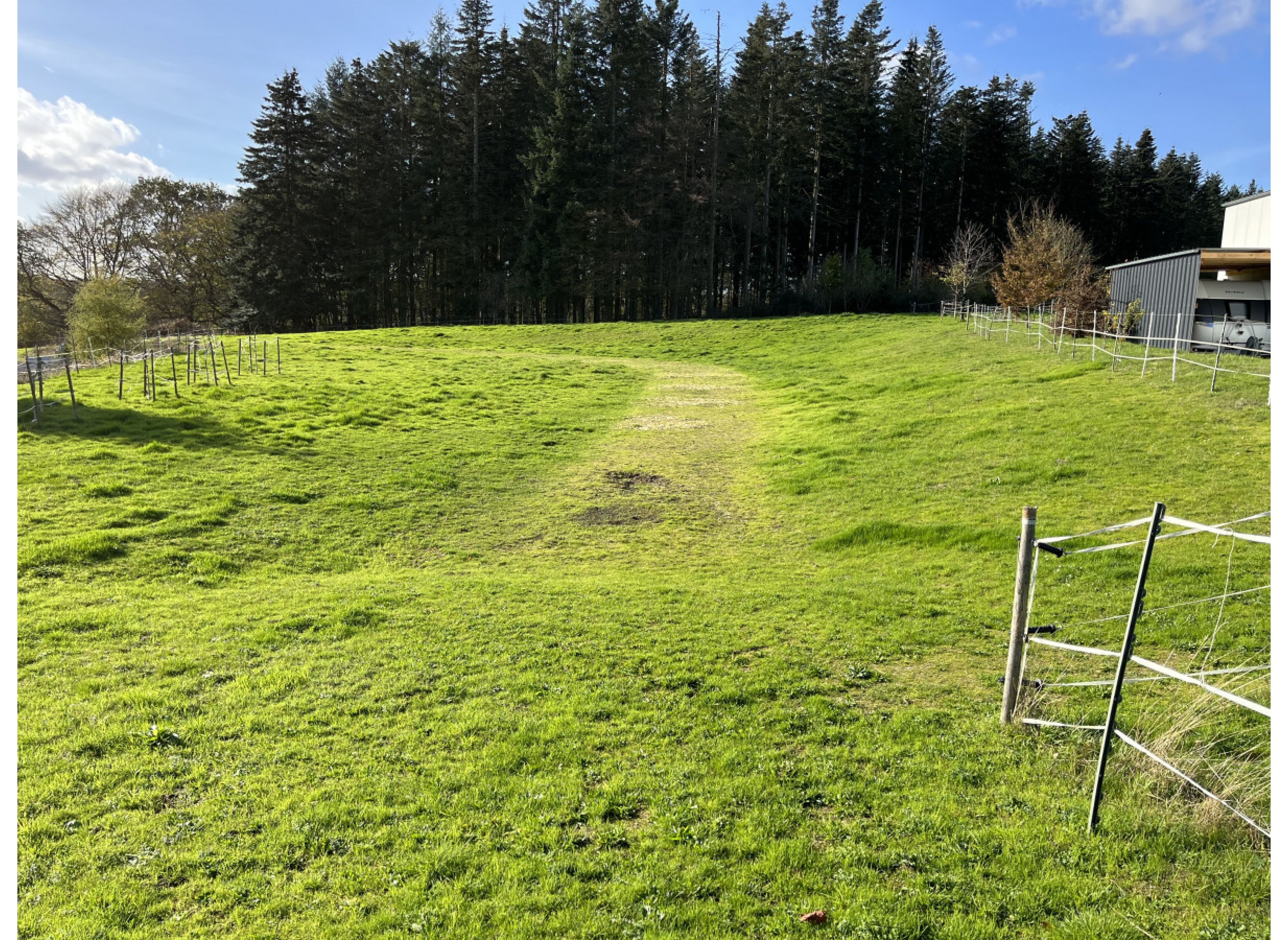 Auf großer Wiese. Wandern im Westerwald, Schlösser und Burgen an Rhein und Mosel #1 — Camperplaats in Bonefeld