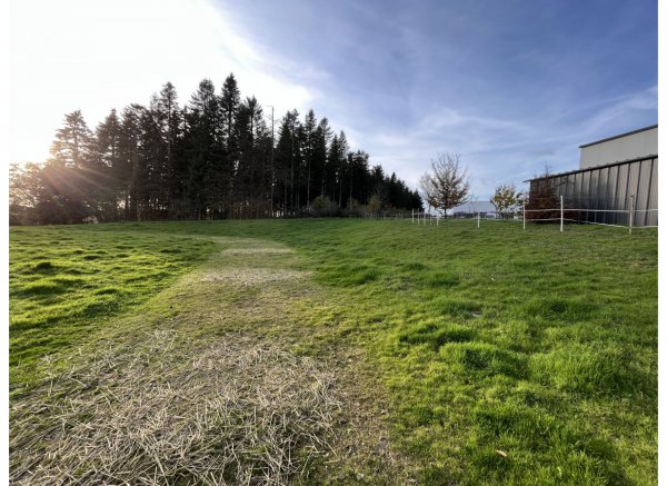 Auf großer Wiese. Wandern im Westerwald, Schlösser und Burgen an Rhein und Mosel #1 — Photo 2