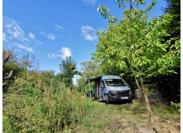 Am Arendsee mit Seezugang für Euch alleine — Photo 2